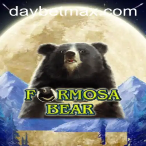 Unveiling FormosaBear