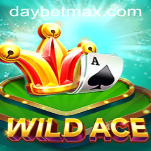 Exploring the Thrilling World of WildAce: A Game Changer in the Era of Daybet